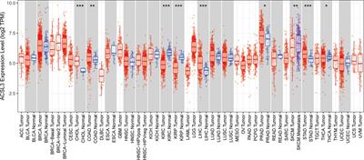 ACSL3 is a potential prognostic biomarker for immune infiltration in clear cell renal cell carcinoma